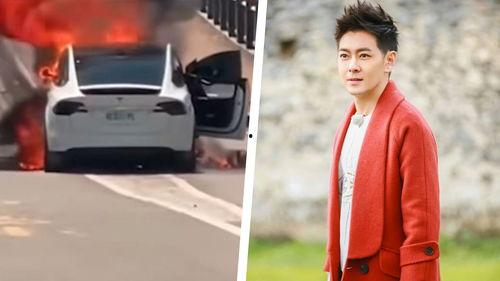 林志颖被爆料视频最新,真相与争议交织”